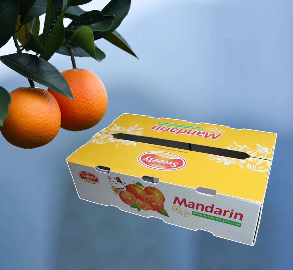 Kann die kalziumplastische Box wiederverwendet werden?