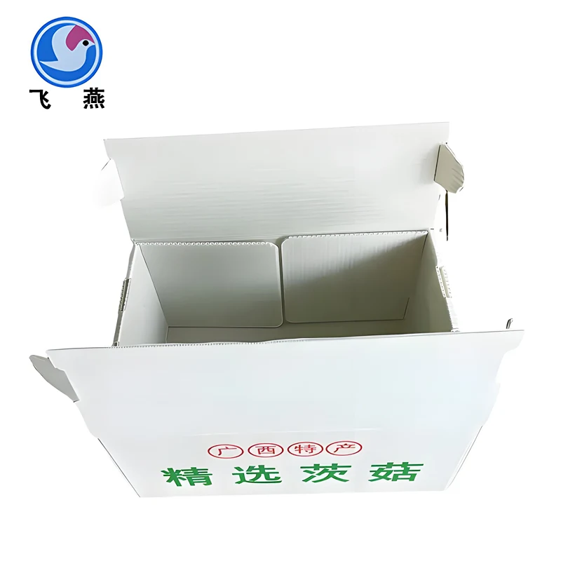 Pilzverpackungsschachtel